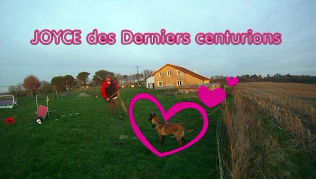 JOYCE DES DERNIERS CENTURIONS à 5 mois