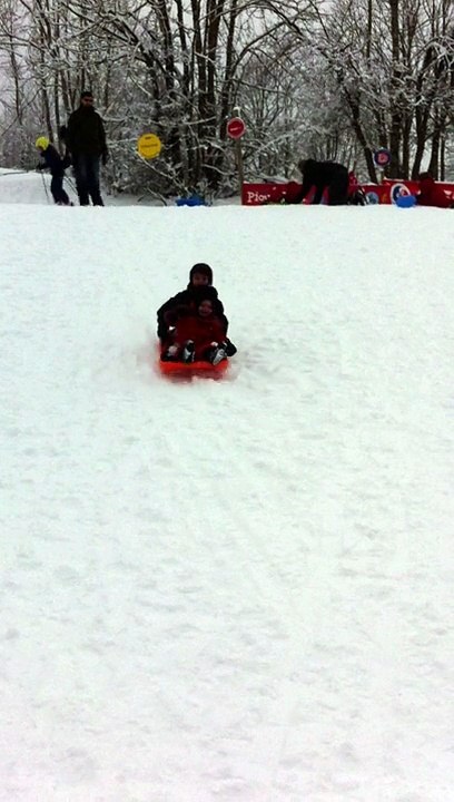 luge