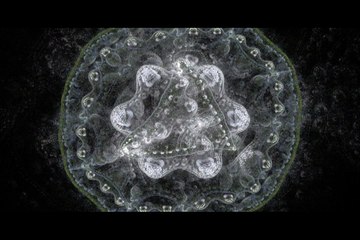 Activate your Crown Chakra with Binaural Beats Music