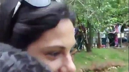 Un homme se fait attaquer par des singes dans un zoo