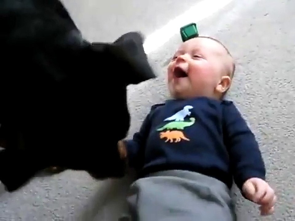 Le plus gentil Rottweiller du monde