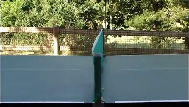 Un fan de ping-pong observe la balle