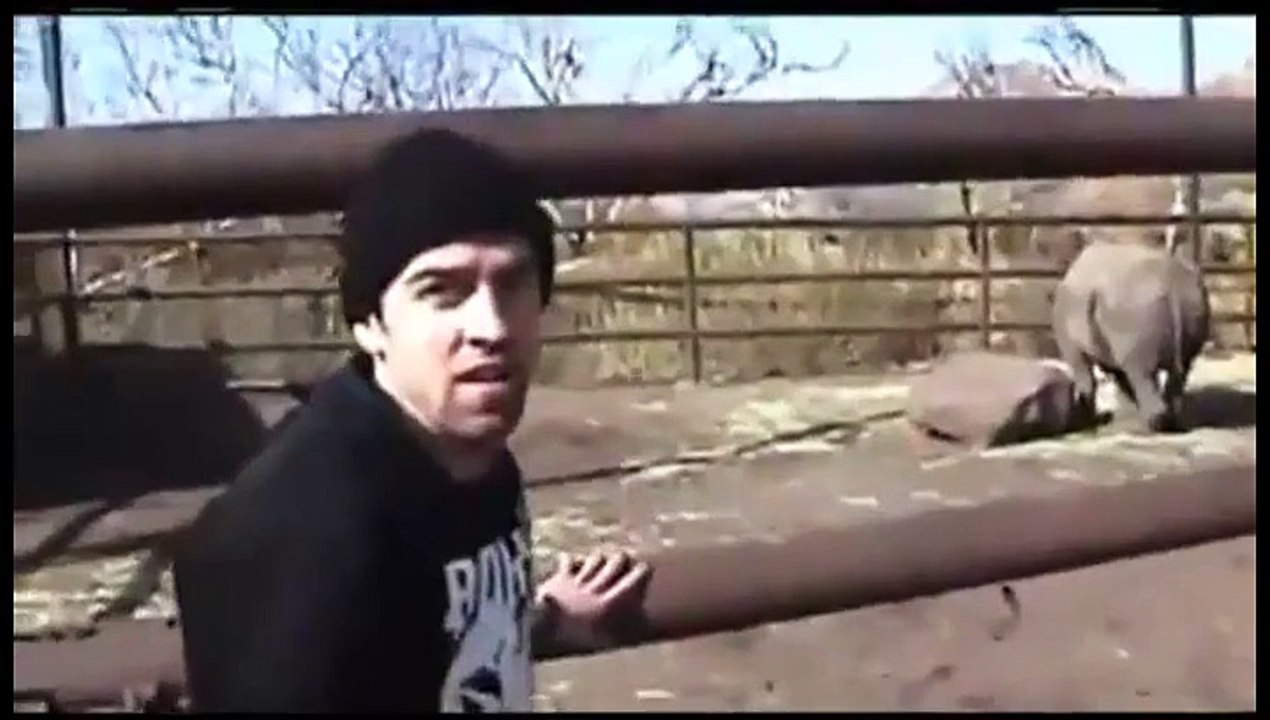 Un rodéo sur un rhinocéros. Pas très malin