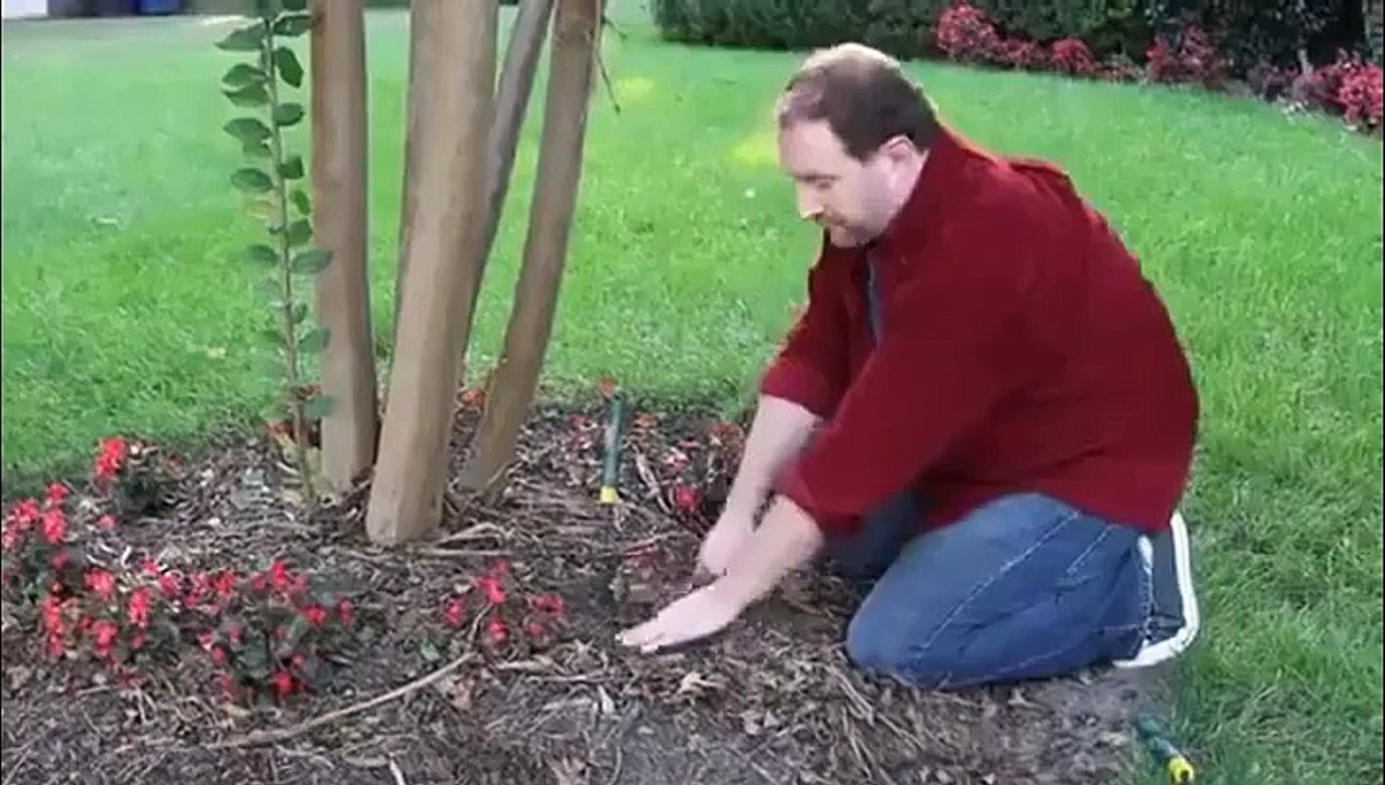 Une publicité trop marrante de Doritos