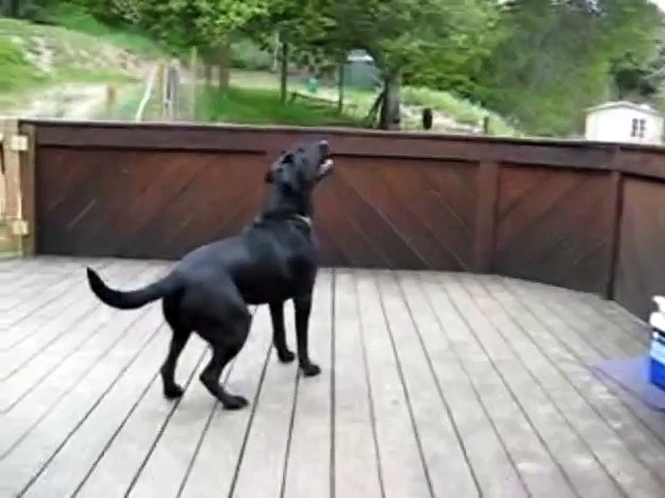 Le plus beau jour de sa vie est enfin arrivé