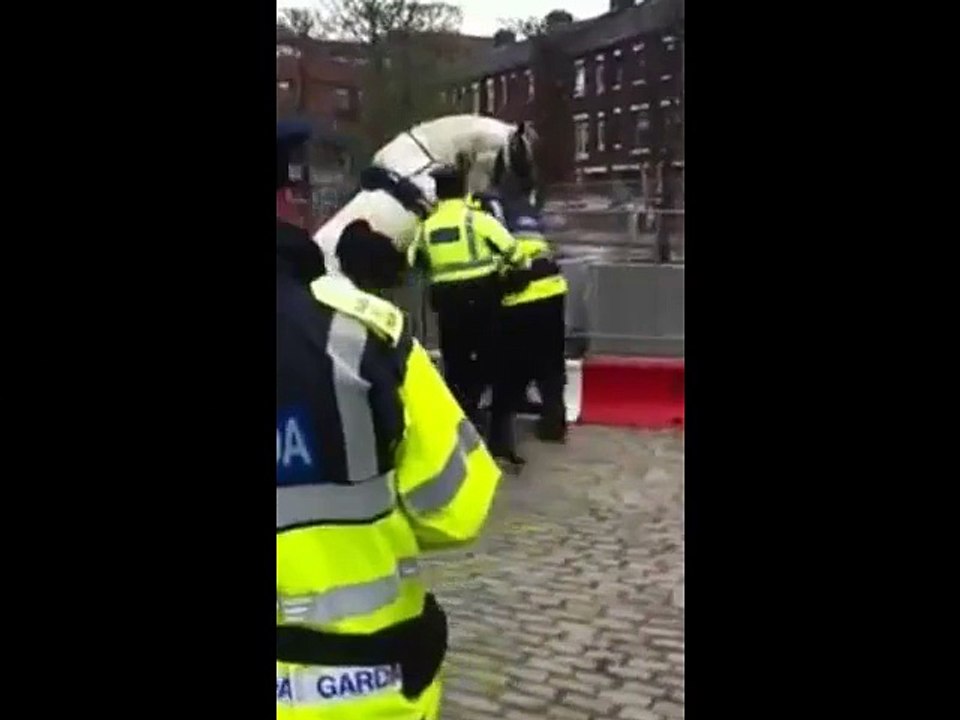 Ce n'est pas la police montée mais, presque...