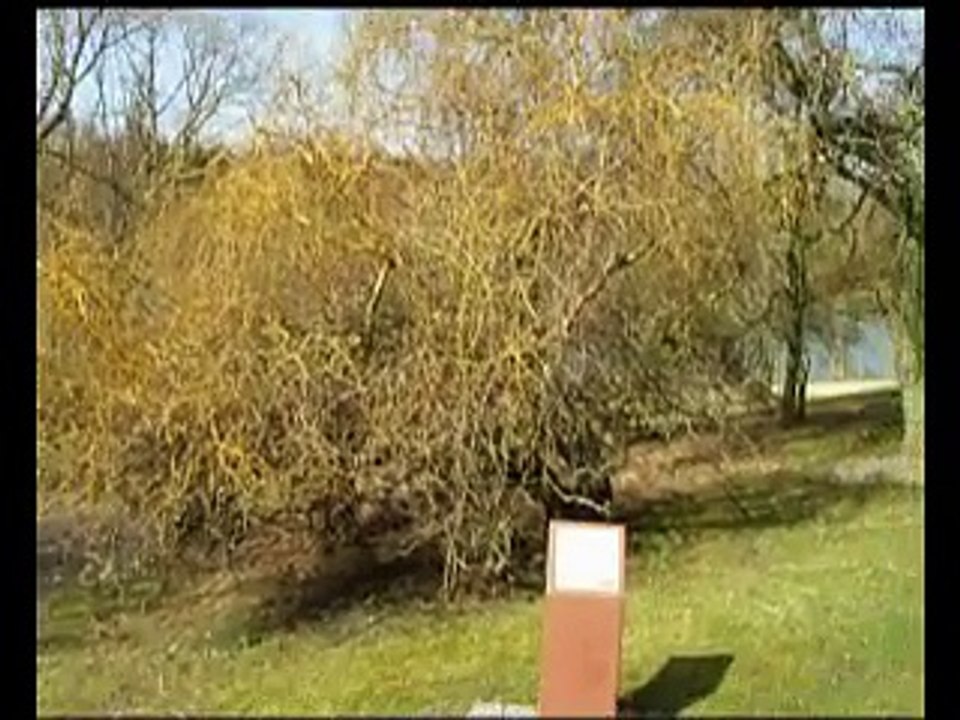 Le-tour-du-lac-en-MP4_001