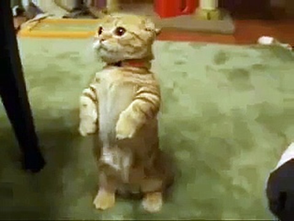 How Cute is that