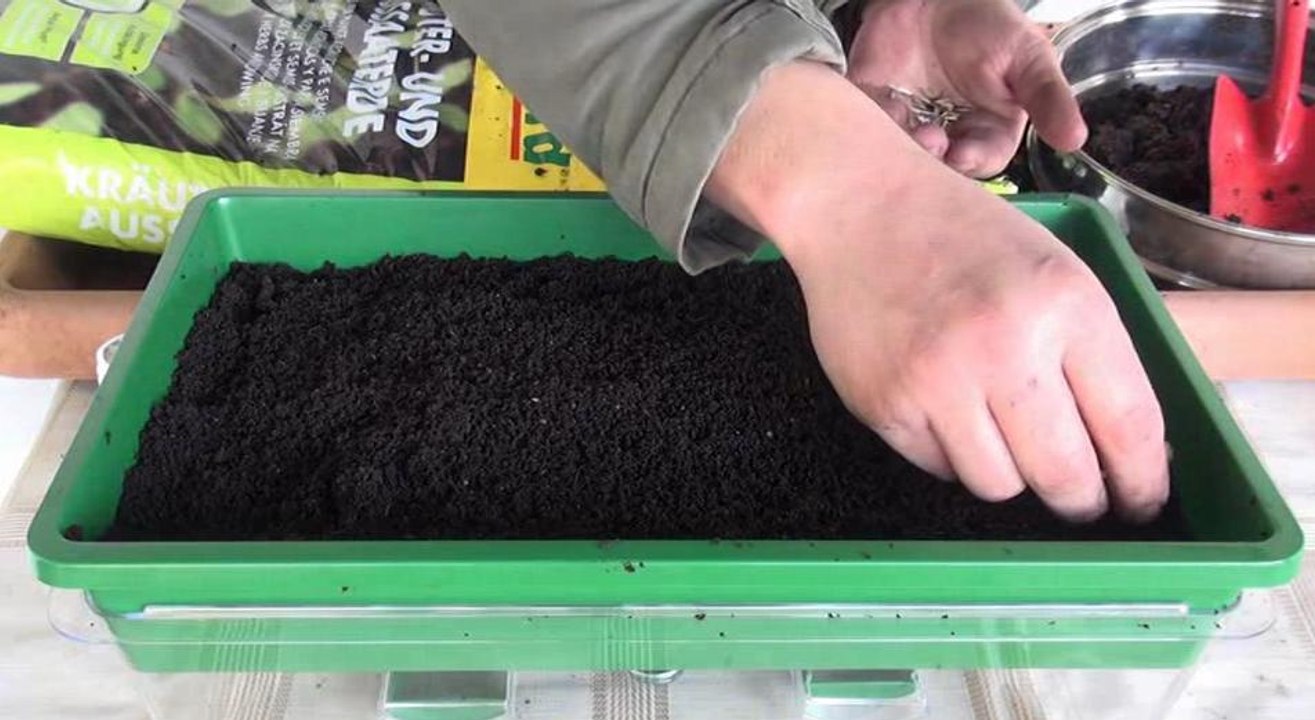 Gartenzeit TV - Vorkultivierung auf der Fensterbank