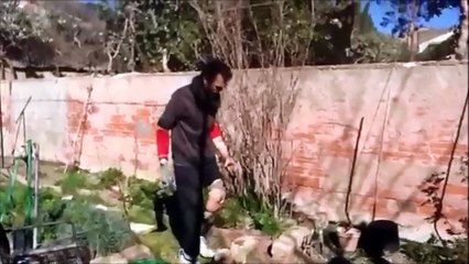 protheses et jardin.....