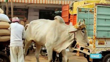 World's Most Extreme S01E02 ~ Roads