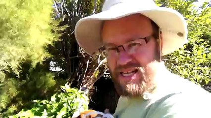 Comment Ramasser une balle Tombé chez le Voisin