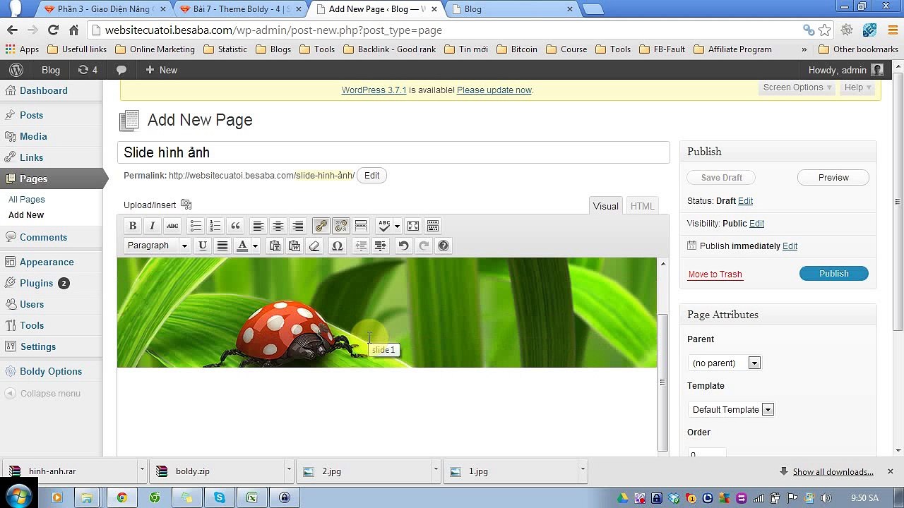 phần 3 - bài 7 - Theme boldy 4