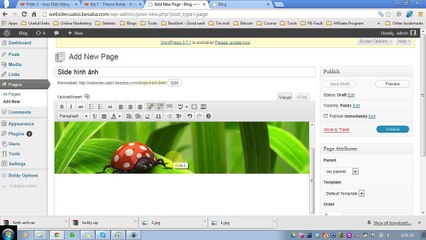 phần 3 - bài 7 - Theme boldy 4
