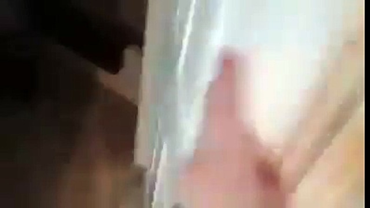 Amazing cat always open door