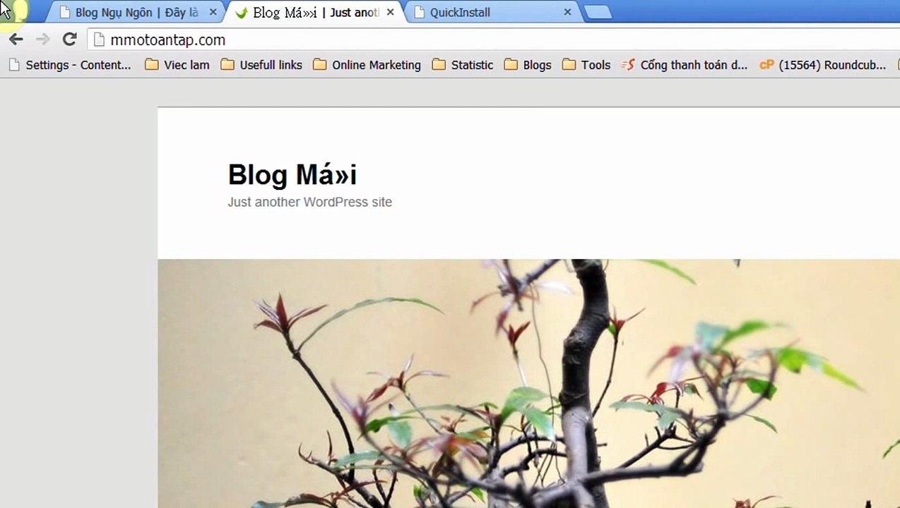 phần 4 - 3 Chuyển blog Wordpress sang website mới