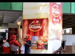 Enigma Creativity: Unlocking Hidden Ideas