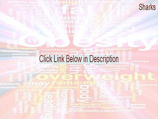 Sharks, Terrors of the Deep Free Download [Download Here 2015]