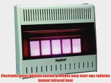 Kozy World KWP324 25000-BTU Vent-Free LP-Gas Infrared Wall Heater with Thermostat