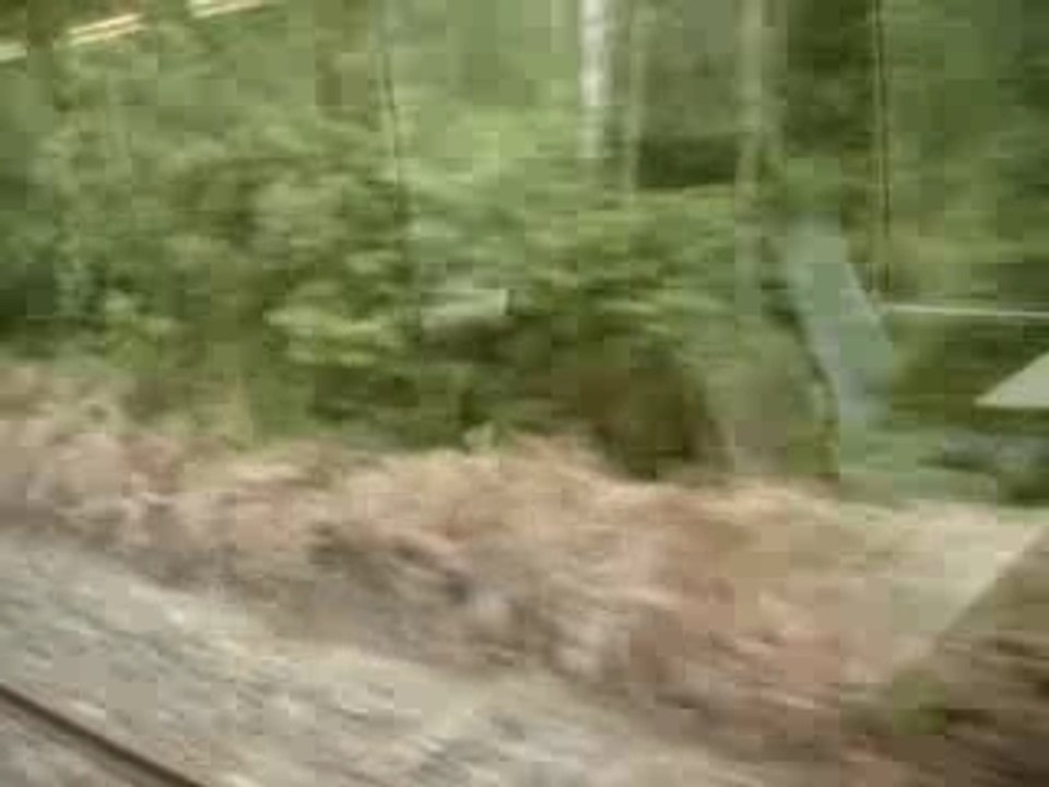 Voyage en train