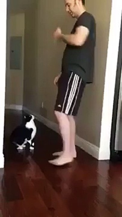 best kitty hug ever