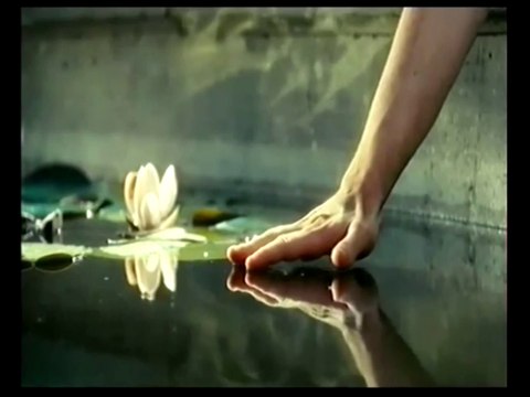 Versailles et une Rose (Maggie Reilly - Wind on the Water)