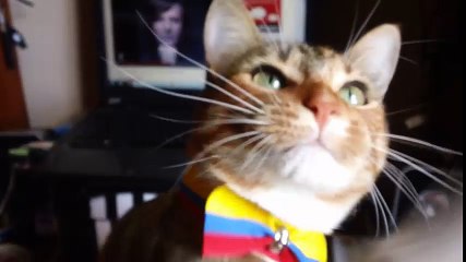 Luces Rítmicas (Fáciles de hacer)