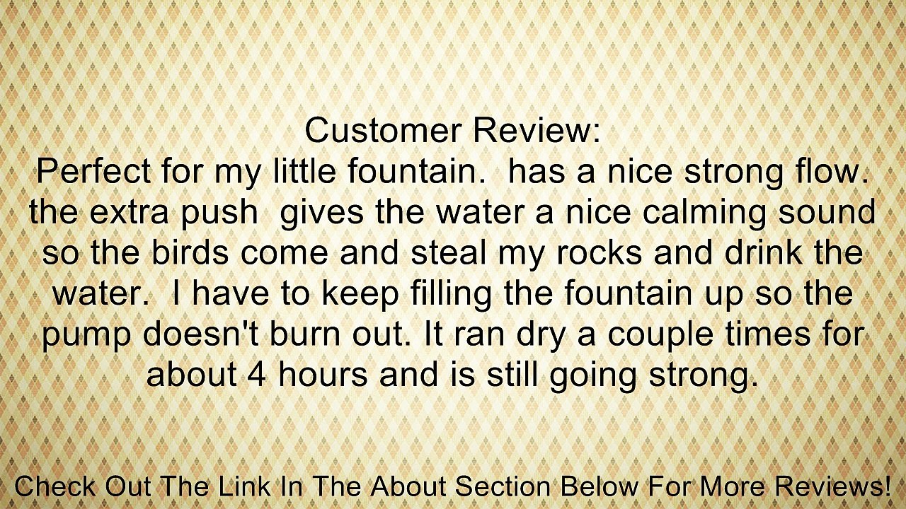 Patuoxun 80 GPH Submersible Pump Aquarium Fish Fountain Water Hydroponic Review