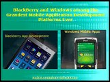 BlackBerry and Windows Mobile Application Development Platforms