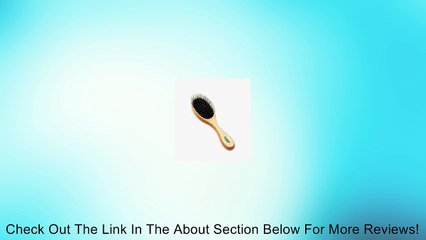 Coastal W6141B Safari Wire Pin Brush Small Review