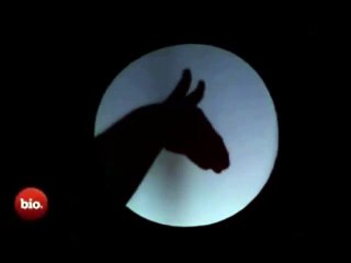 Un artiste devient maître dans son art