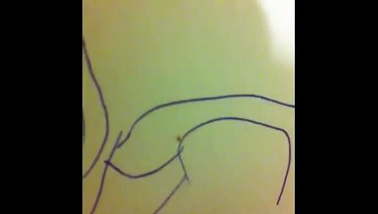 Comment rendre une araignée complètement dingue