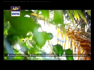 Dil E Barbaad Episode 11 Full on Ary Digital 9 March 2015