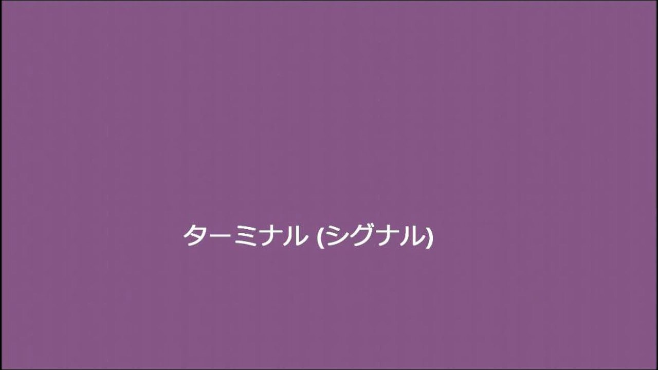 ターミナル (シグナル)