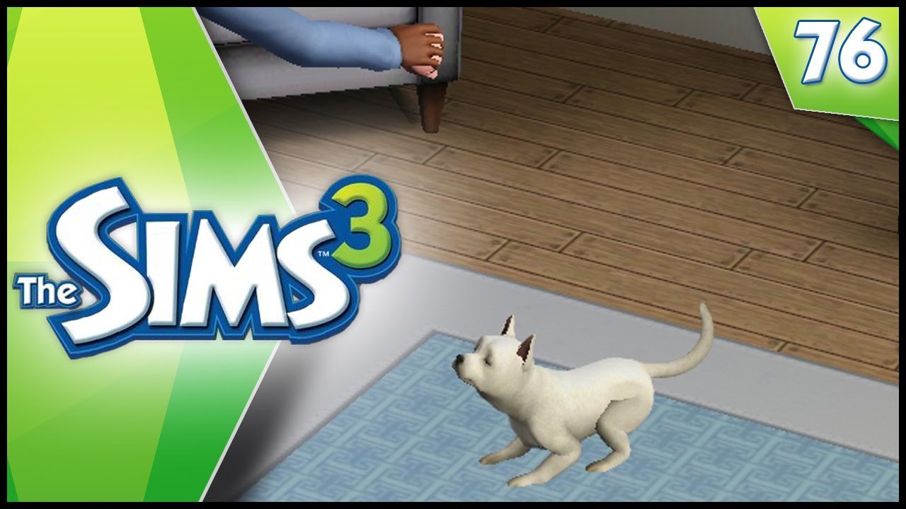 Sims 3 - Ep 76 - OUR NEW DOG!