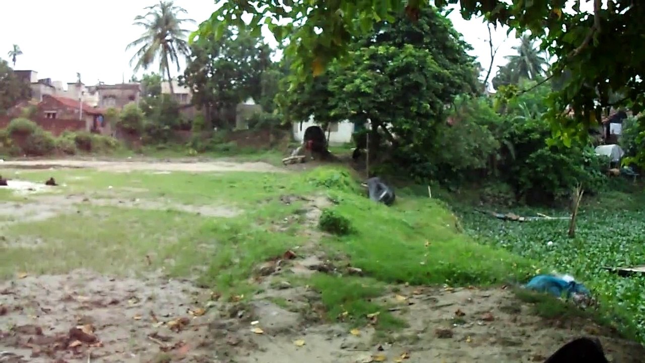 Beautiful Pond