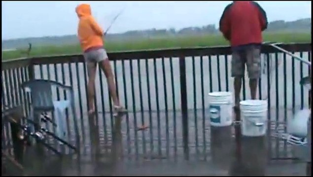 Un requin vient lui voler son poisson