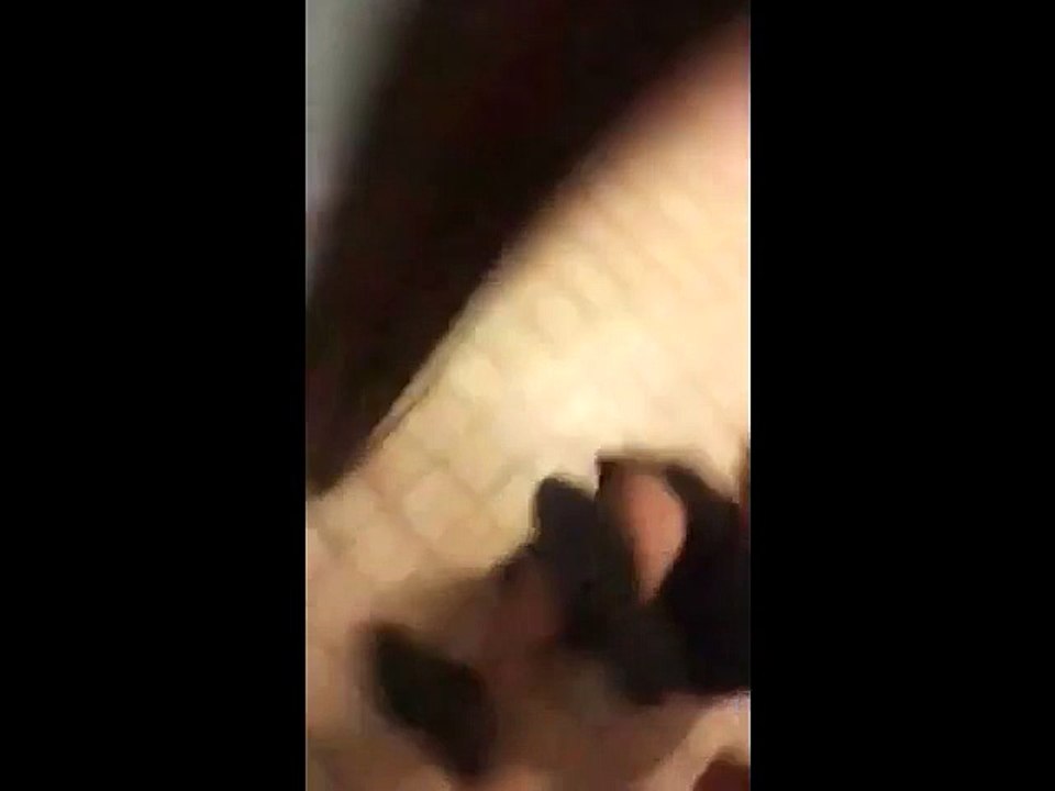 Cet imbécile pisse sur une zapette anti-moustique !