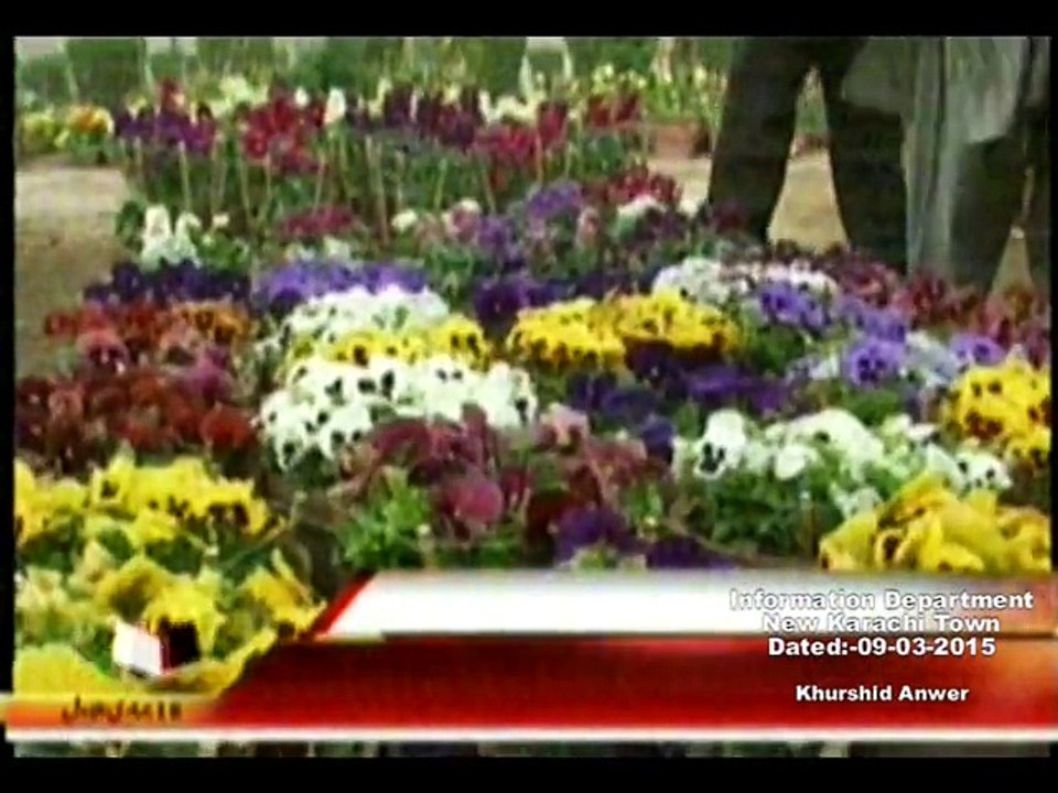 DMC Central Metro One Baldiyati Khabren( Flowers Making North Nazimabad) 09-03-2015