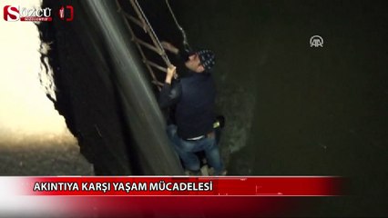 Akıntıya karşı yaşam mücadelesi
