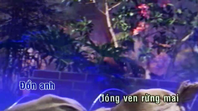 Dan Nguyen - Don Vang Chieu Xuan (karaoke)