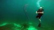 VIDEO : ces plongeurs trouvent un Pyrosome : Licorne des Mers