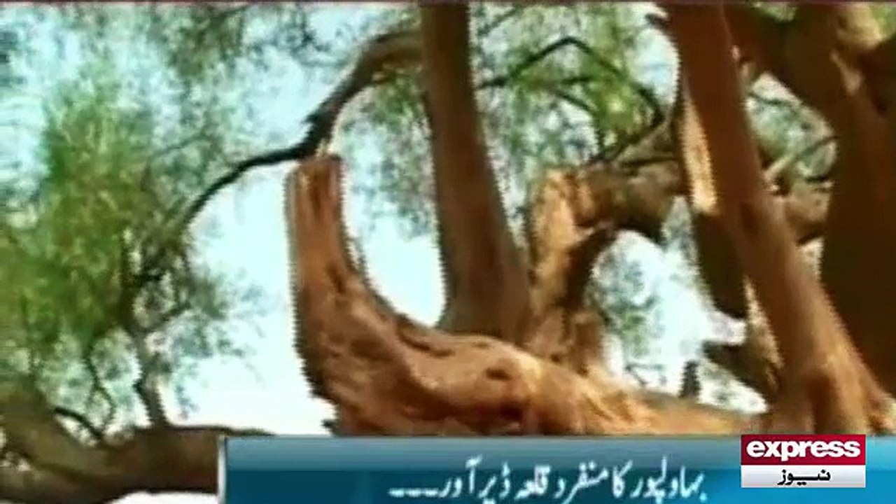 Qila Derro