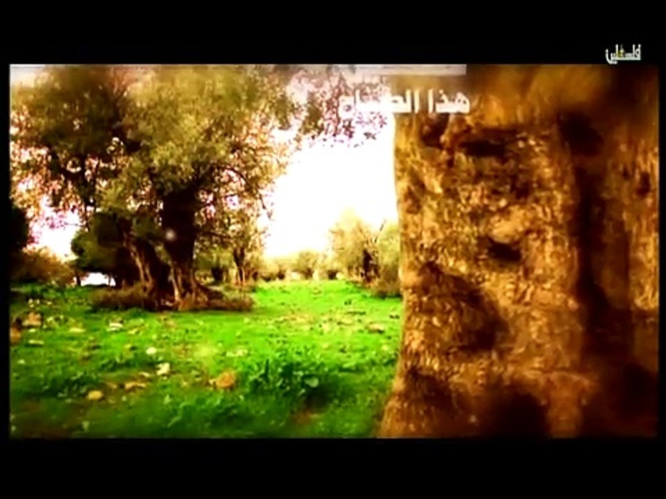 هذا الصباح الثلاثاء -10-3 -2015 ج1