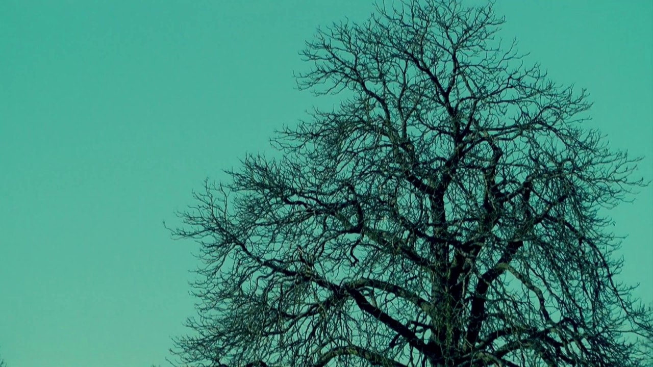 Somewhere  -  Panzerleite