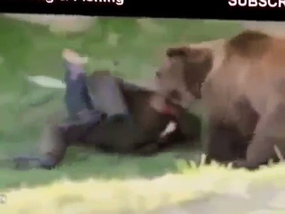 Horrible animal attacks on humans!!!  Ужасные нападения животных на людей!!!
