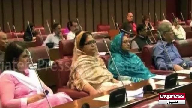 Raza Rabbani elected at chairmen senate