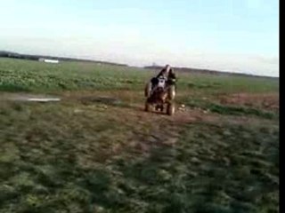 Ptite roue