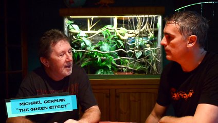 Australian Green Tree Python - CrittaCam