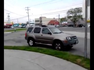 Un chien qui adore le Klaxon de la voiture de son maitre